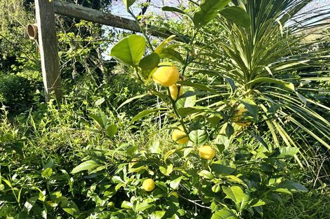 Photo of property in 20 Scotland Street, Picton, 7220