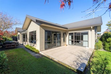 Photo of property in 46a Essex Street, Masterton, 5810