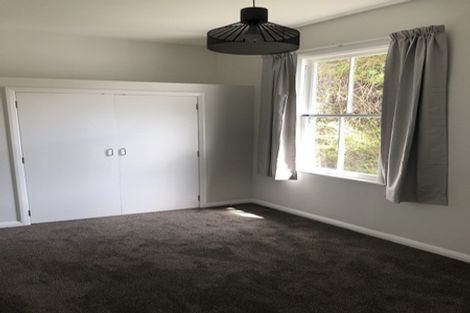 Photo of property in 213 Aro Street, Aro Valley, Wellington, 6021