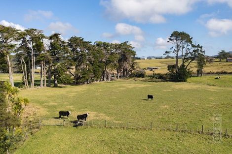 Photo of property in 271 Waitakere Road, Taupaki, Henderson, 0782