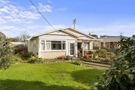 Photo of property in 29 Duke Street, Levin, 5510