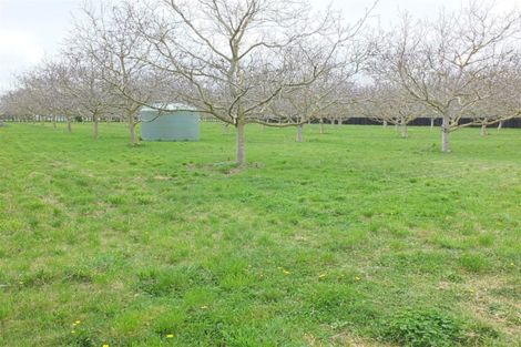 Photo of property in 146 Cullen Avenue, Swannanoa, 7475