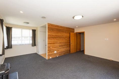 Photo of property in 58 Bordesley Street, Phillipstown, Christchurch, 8011