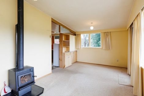 Photo of property in 201 The Terrace, Ashhurst, 4810