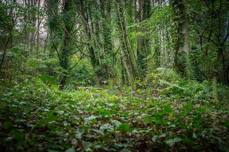 Photo of property in 32 Thomson Street, Lookout Point, Dunedin, 9011