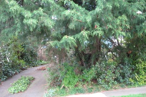 Photo of property in 111 Herewaka Street, Thames, 3500