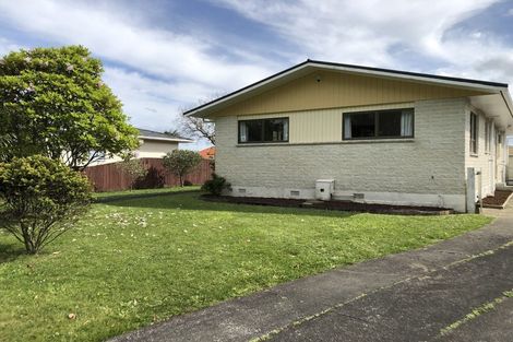 Photo of property in 55 Meadowvale Drive, Levin, 5510