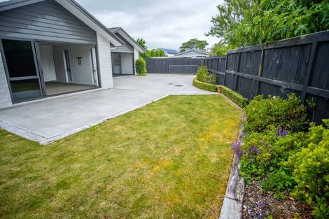 Photo of property in 43a Grey Street, Hamilton East, Hamilton, 3216