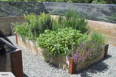 Photo of property in 238 Gleniti Road, Gleniti, Timaru, 7974