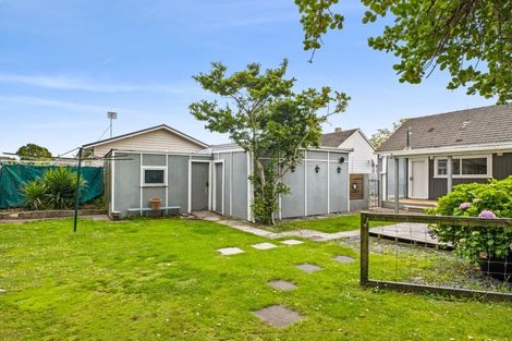 Photo of property in 49 Collins Street, Te Hapara, Gisborne, 4010