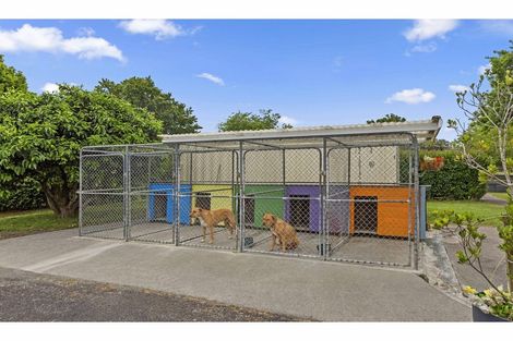 Photo of property in 349 Hauraki Road, Orongo, Thames, 3574