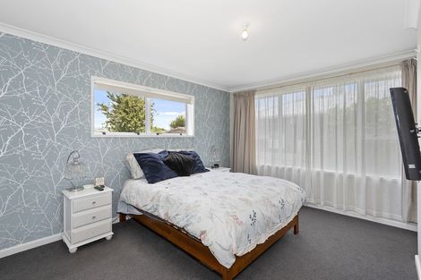 Photo of property in 58 Amyes Road, Hornby, Christchurch, 8042
