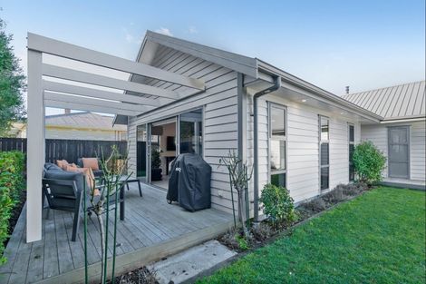 Photo of property in 8c Michael Street, Masterton, 5810