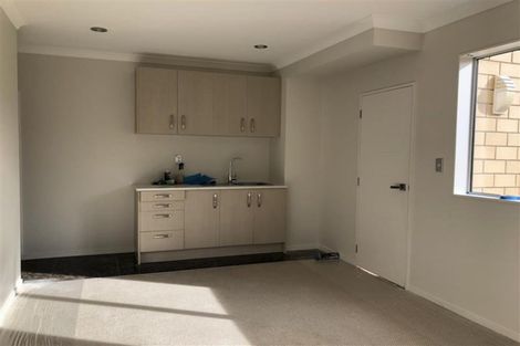 Photo of property in 48 Helianthus Avenue, Flat Bush, Auckland, 2019
