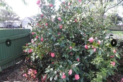 Photo of property in 2 Hobson Place, Takaro, Palmerston North, 4412