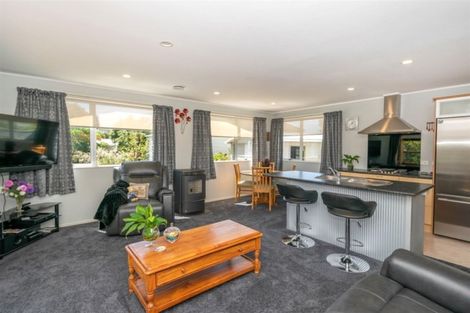 Photo of property in 28 Gouland Road, Spring Creek, 7202