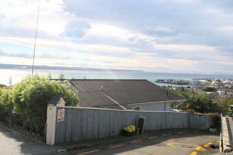 Photo of property in 18 Milton Terrace, Hospital Hill, Napier, 4110
