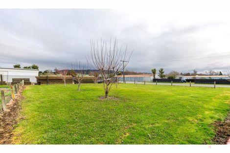 Photo of property in 39 Wilkin Street, Waimate, 7924