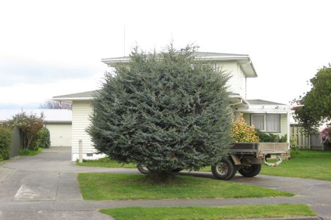 Photo of property in 20 Balliol Avenue, Pirimai, Napier, 4112