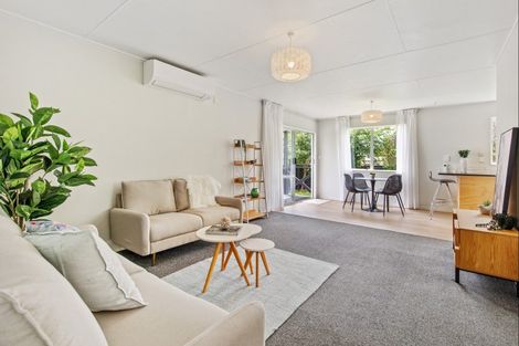 Photo of property in 45 Green Avenue, Levin, 5510