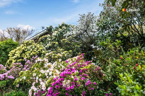 Photo of property in 31 Dunrobin Street, Waverley, Dunedin, 9013