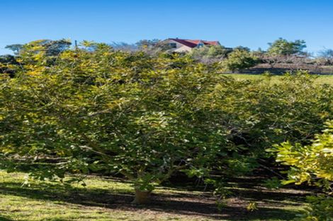 Photo of property in 56 Mapua Drive, Mapua, Upper Moutere, 7173
