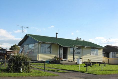 Photo of property in 13 Brownlie Crescent, Huntly, 3700