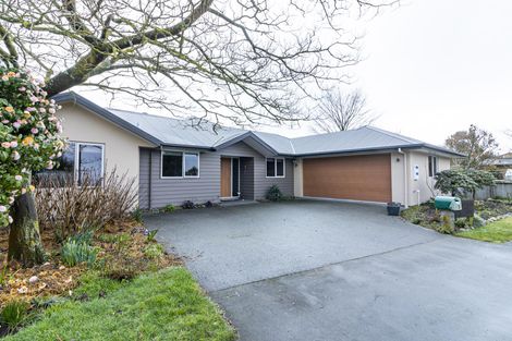 Photo of property in 3 Coles Street, Geraldine, 7930