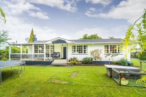 Photo of property in 45 Worcester Street, Ashhurst, 4810