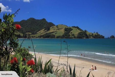 Photo of property in 7 Powhiri Place, Wharekaho, Whitianga, 3510