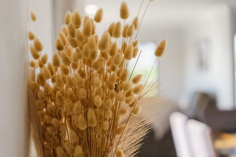 Photo of property in 23 Calla Street, Maungaturoto, 0520