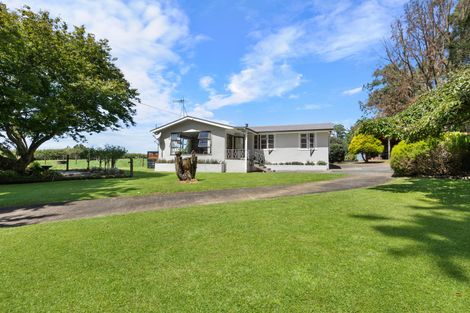 Photo of property in 1128 Tahuroa Road, Morrinsville, 3371