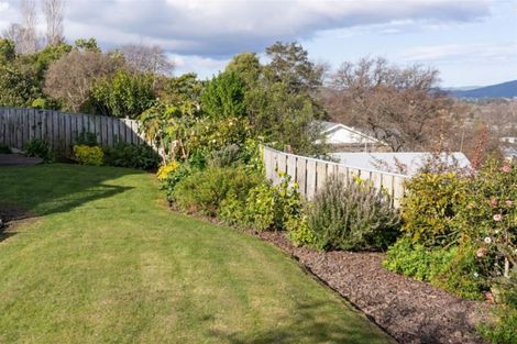Photo of property in 3a Kauri Grove, Lansdowne, Masterton, 5810