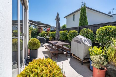 Photo of property in 42 Mcdougall Avenue, St Albans, Christchurch, 8014