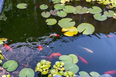 Photo of property in 38a Pokapu Street, Titirangi, Auckland, 0600