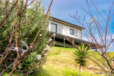 Photo of property in 1122d Whakapirau Road, Whakapirau, 0583