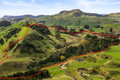 Photo of property in 6339 Matawai Road, Matawai, 4075