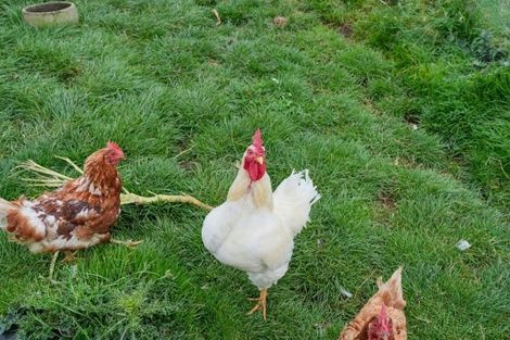 Photo of property in 411 Flora East, Makarewa, Invercargill, 9876