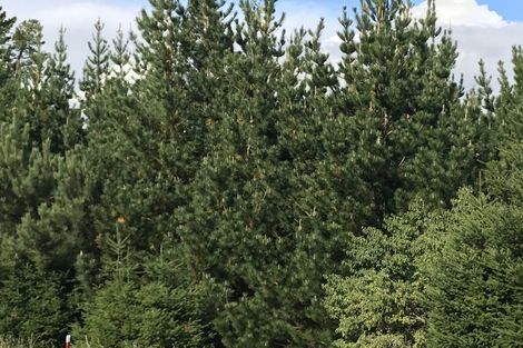 Photo of property in 487 Whangamata Road, Kinloch, Taupo, 3377