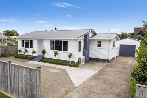 Photo of property in 113 Stanford Street North, Ashhurst, 4810