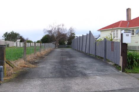 Photo of property in 12 Andrew Avenue, Roslyn, Palmerston North, 4414