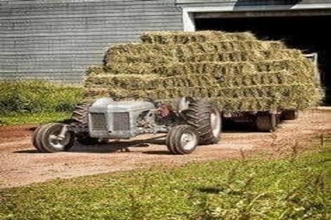 Photo of property in 638 Harewood Road, Harewood, Christchurch, 8051