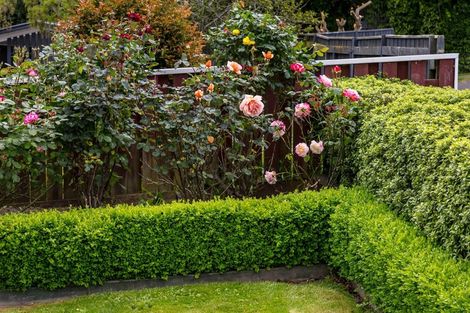 Photo of property in 35 Manuka Street, Lansdowne, Masterton, 5810