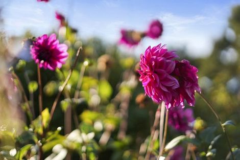 Photo of property in 59 Mahoenui Valley Road, Coatesville, Albany, 0793