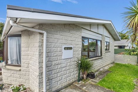Photo of property in 49b Springvale Road, Springvale, Whanganui, 4501