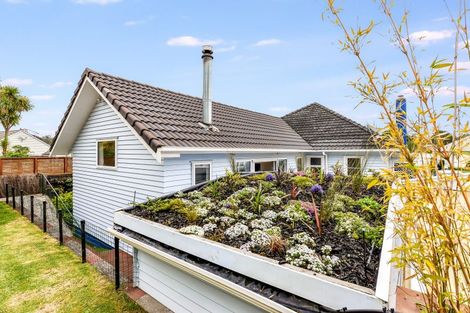 Photo of property in 18 Galway Avenue, Hamilton East, Hamilton, 3216