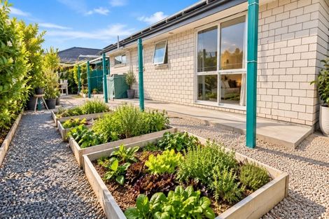 Photo of property in 33 Midlane Crescent, Appleby, Richmond, 7020