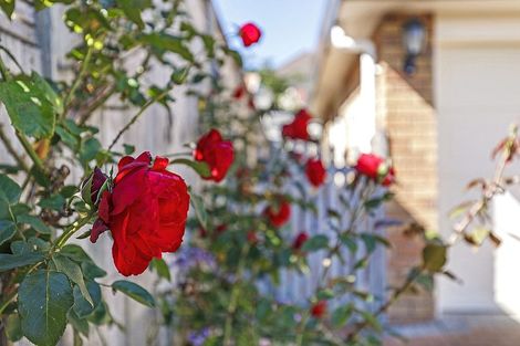 Photo of property in 11 Angel Way, Stanmore Bay, Whangaparaoa, 0932