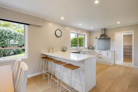 Photo of property in 9 Grassy Downs Place, St Andrews, Hamilton, 3200