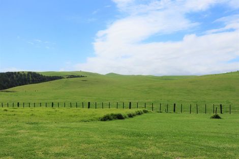 Photo of property in Pipi Place, Baylys Beach, 0377
